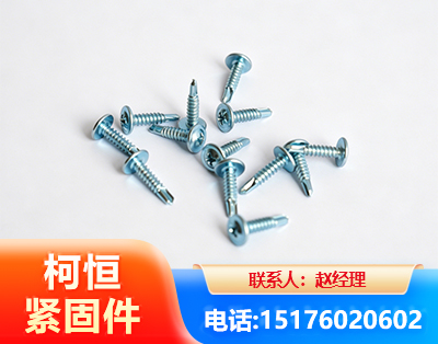 大连华司钻尾丝